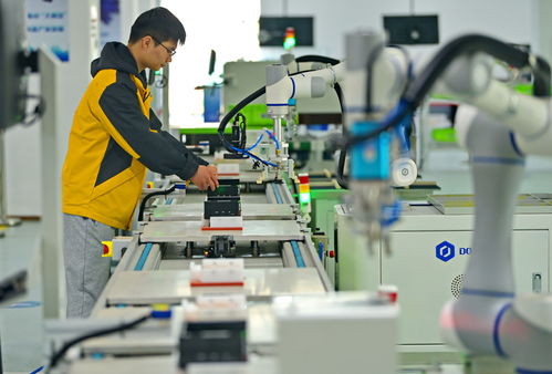 江西贛州 智能設備賦能產業升級，信息技術咨詢服務引領提質增效新篇章